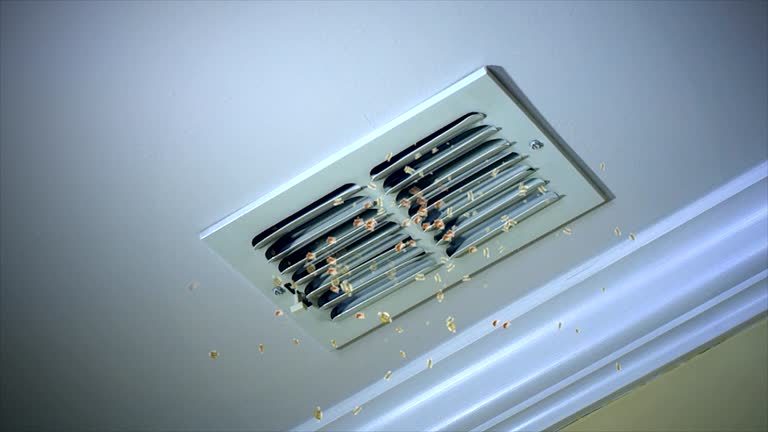 Best HVAC Duct Inspection Services  in Parma, ID
